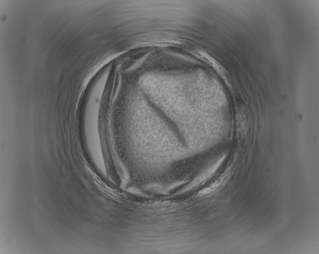 X0000071810779200607211711