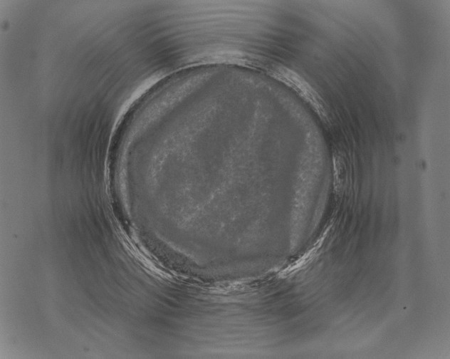 X0000071810780200607211711