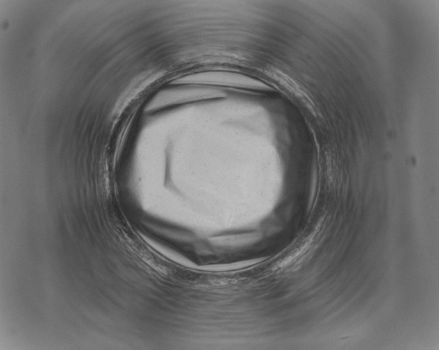 X0000071810782200607211711
