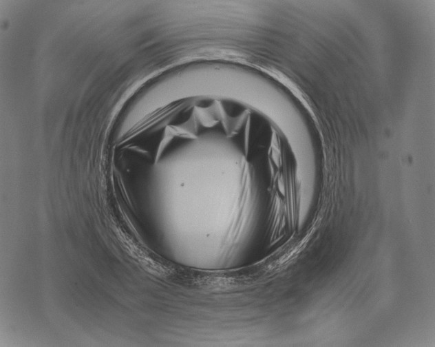 X0000071810783200607211711