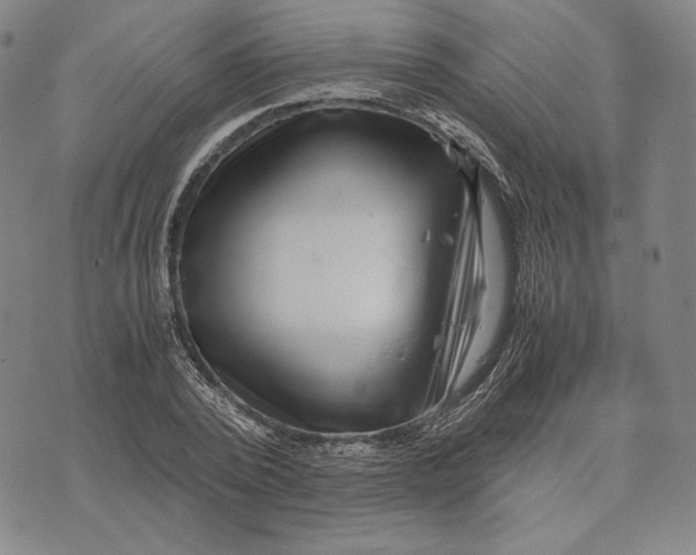 X0000071810784200607211711