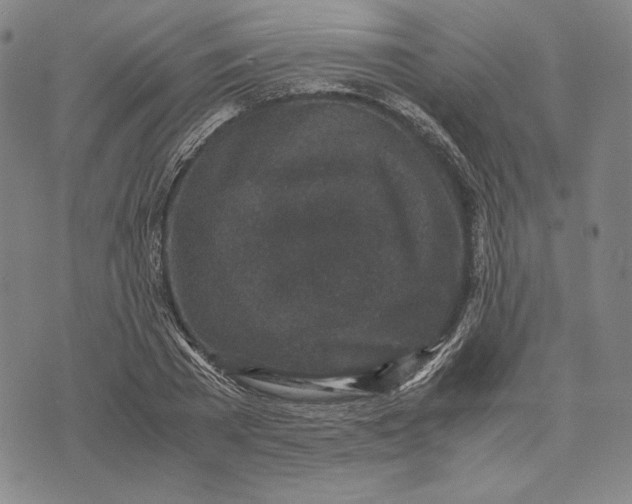 X0000071810785200607211711