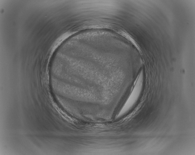 X0000071810787200607211710
