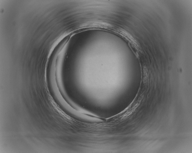 X0000071810788200607211710