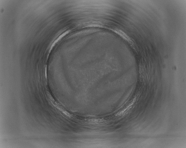 X0000071810790200607211710
