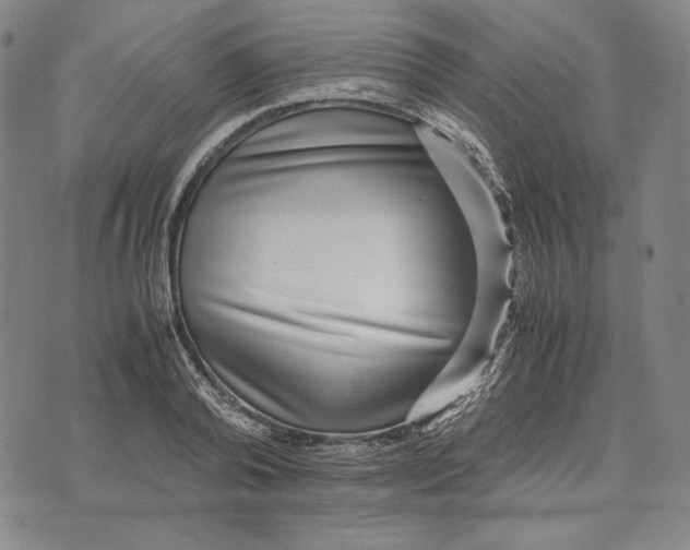 X0000071810792200607211710