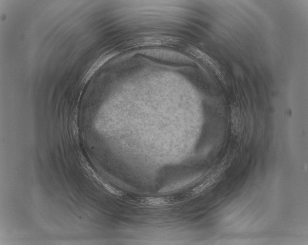 X0000071810794200607211710