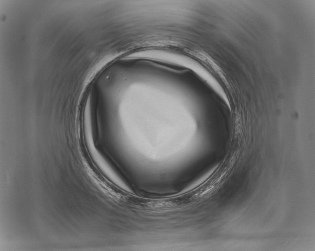 X0000071810795200607211710