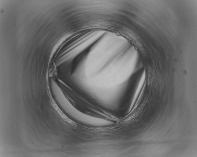 X0000071810796200607211710