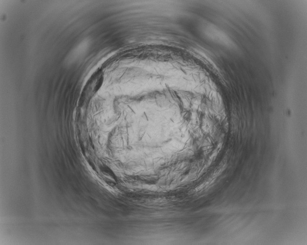 X0000071810798200607211710