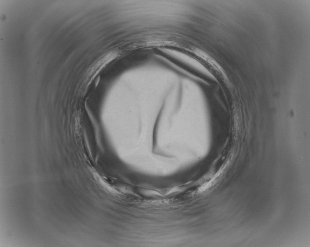X0000071810801200607211710