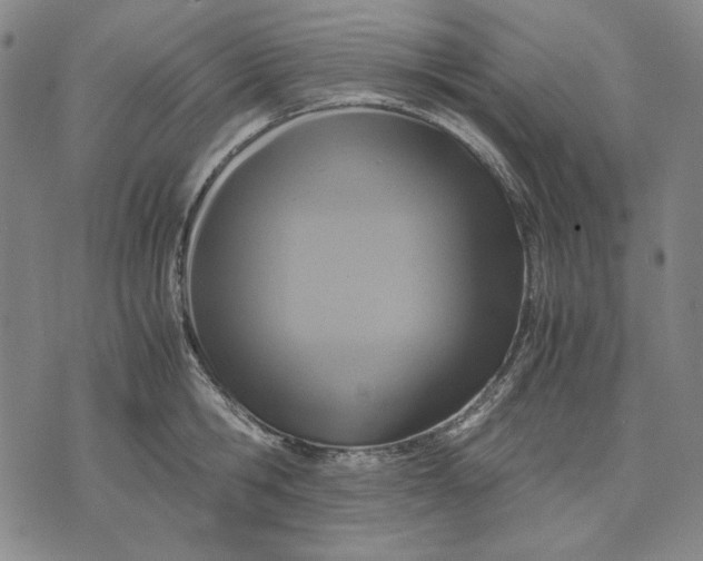 X0000071810806200607211710