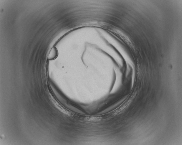 X0000071810808200607211710