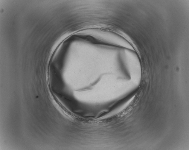 X0000071810811200607211710