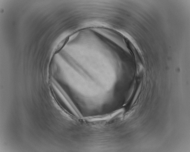 X0000071810815200607211710