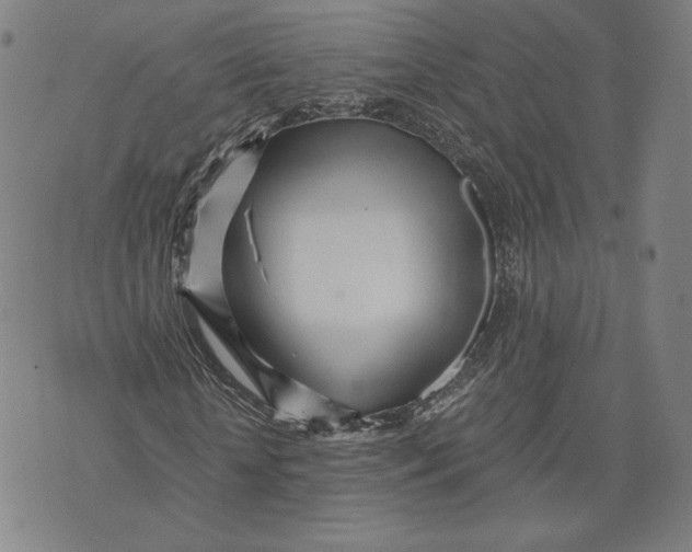 X0000071810818200607211709