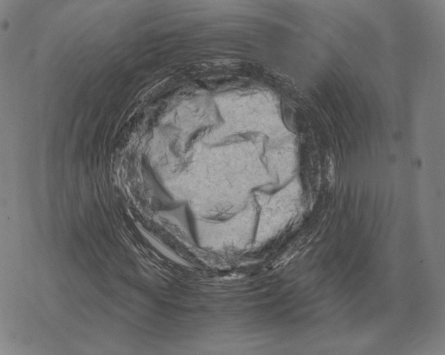 X0000071810819200607211709