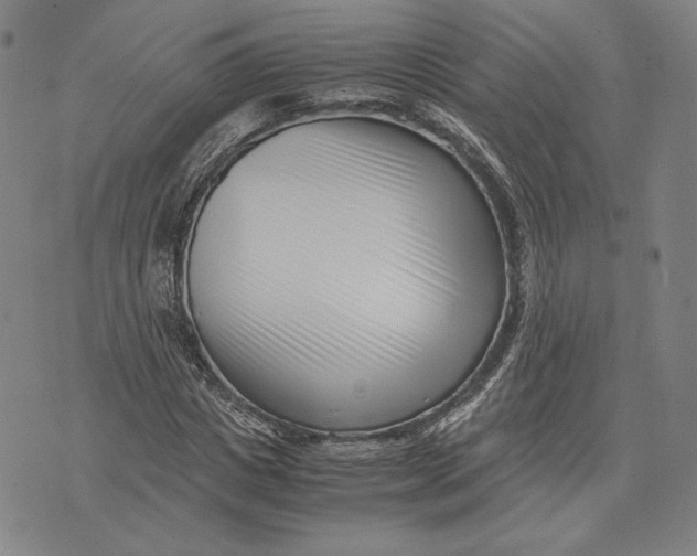 X0000071810825200607211709
