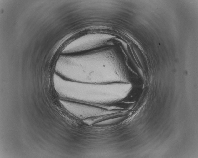 X0000071810829200607211709