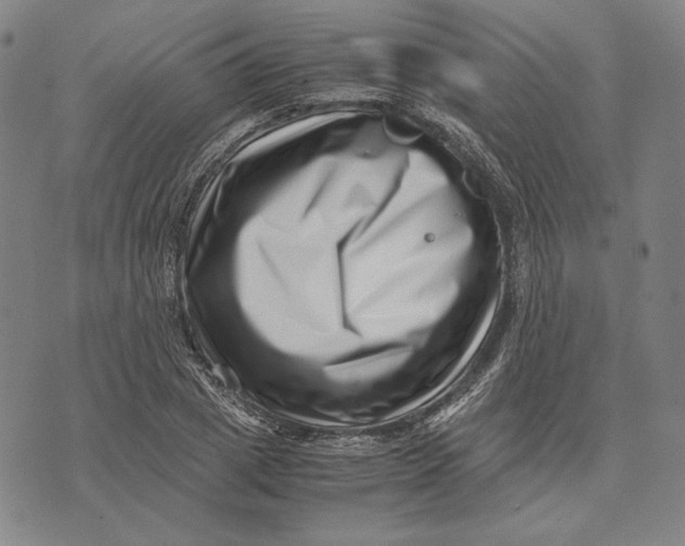 X0000071810833200607211710