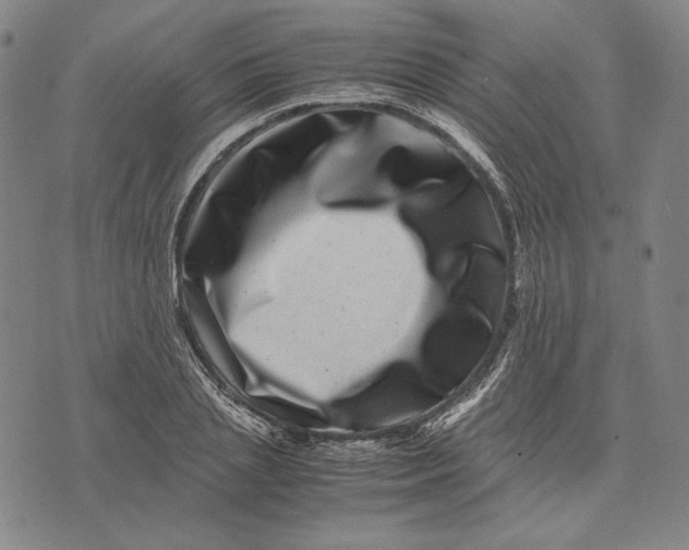 X0000071810837200607211710