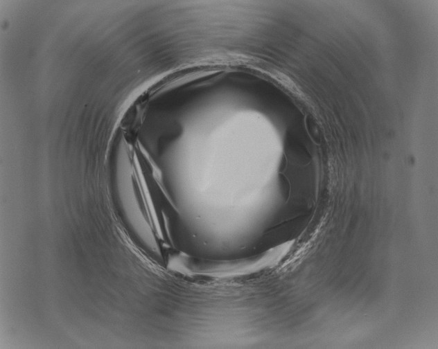 X0000071810838200607211710