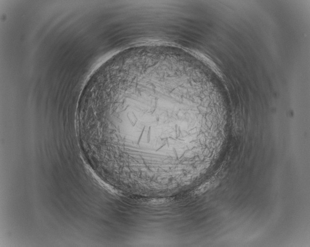X0000071810839200607211710