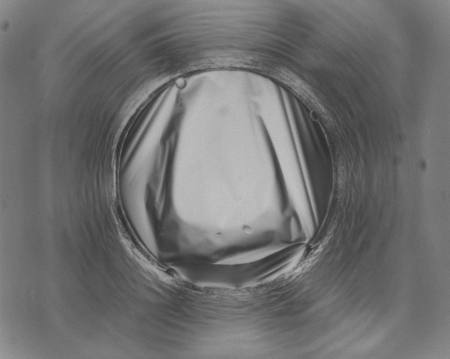 X0000071810844200607211710