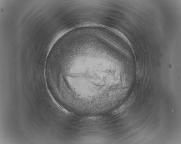 X0000071810847200607211710