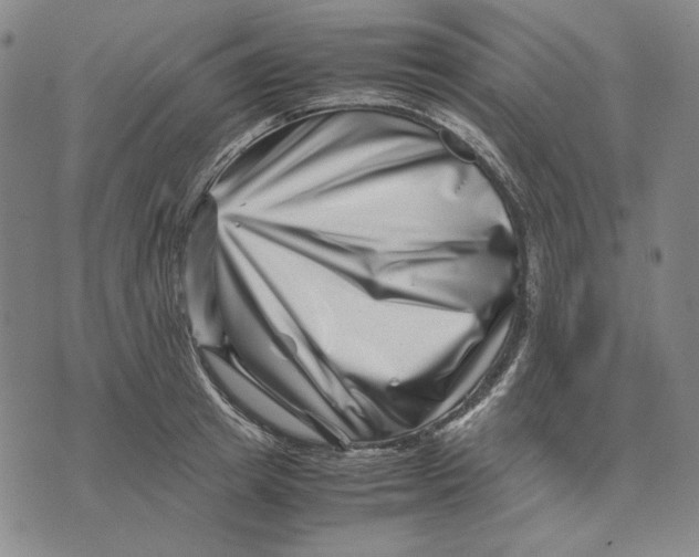 X0000071810849200607211710