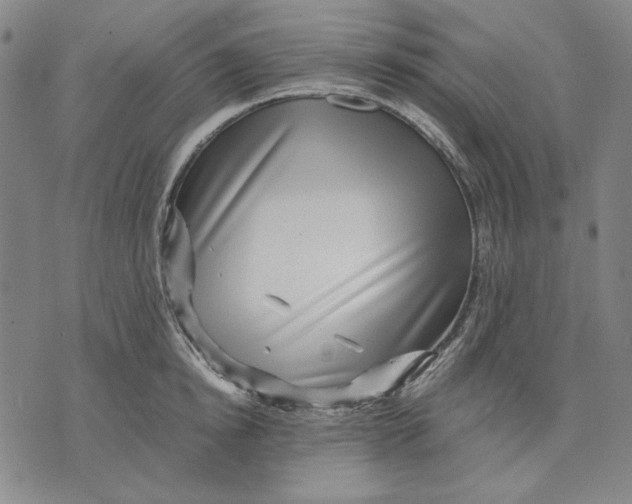 X0000071810854200607211710
