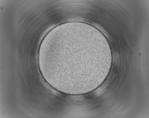 X0000071810856200607211710