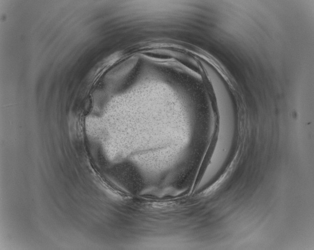 X0000071810857200607211710