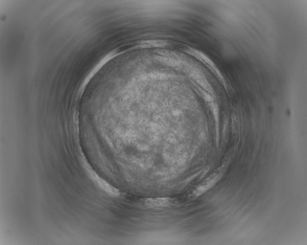 X0000071810859200607211710