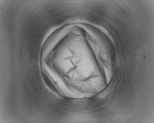 X0000071810863200607211710