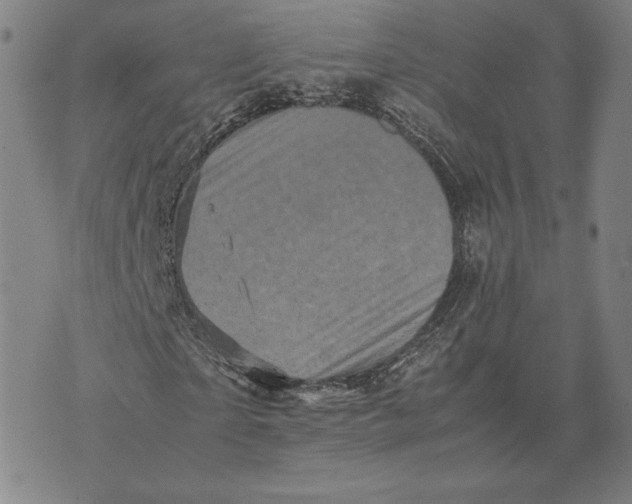 X0000071810865200607211709