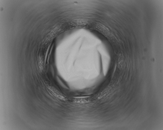 X0000071810866200607211709