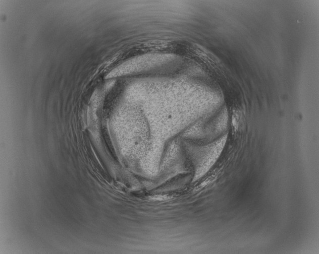 X0000071810867200607211709