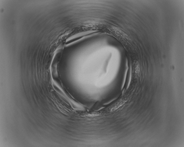X0000071810868200607211709