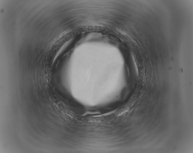 X0000071810870200607211709
