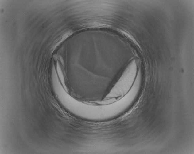 X0000071810873200607211709