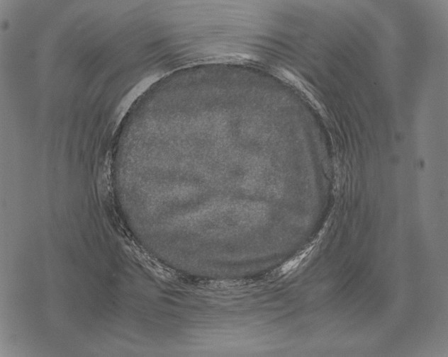 X0000071810875200607211709