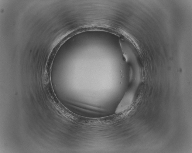 X0000071810876200607211709