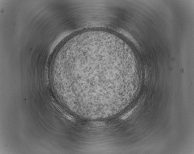 X0000071810878200607211709