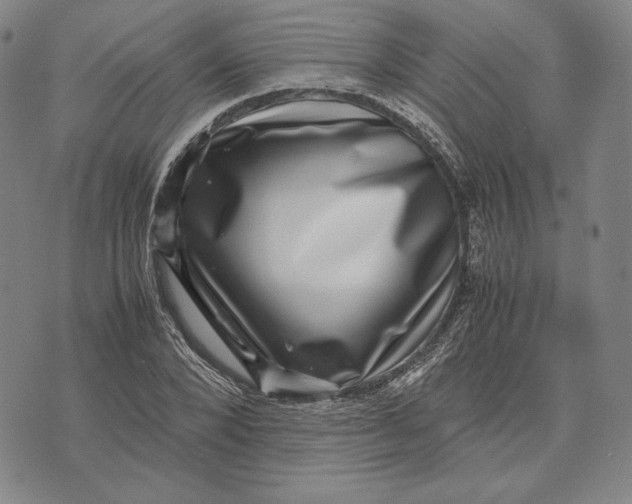 X0000071810880200607211709
