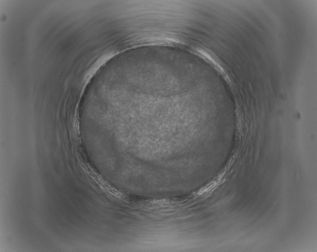 X0000071810883200607211709