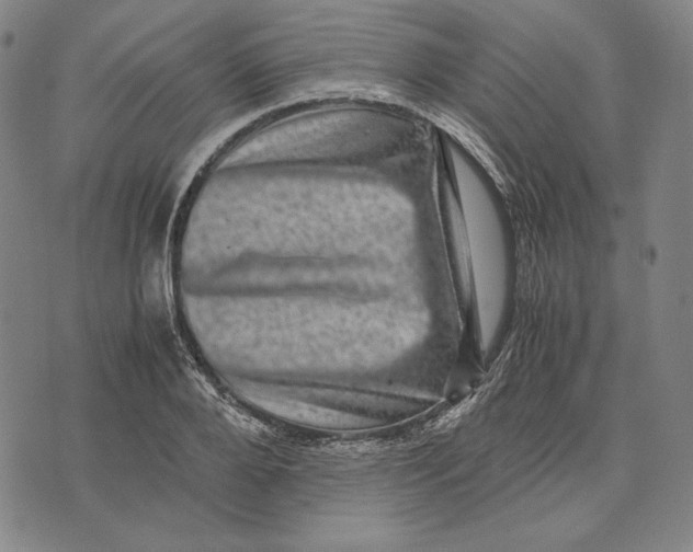X0000071810888200607211709
