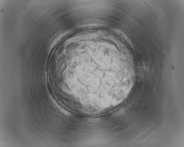 X0000071810890200607211709