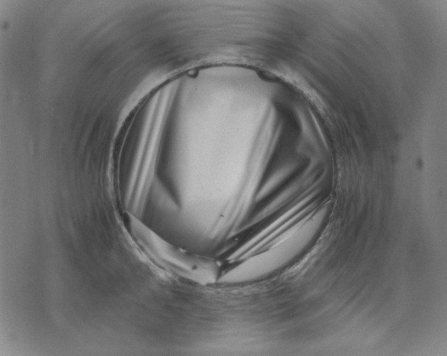 X0000071810902200607211709