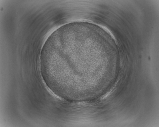 X0000071810903200607211709